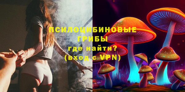 ALPHA-PVP Новозыбков