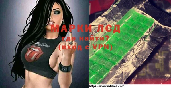 стафф Новодвинск