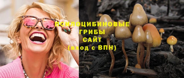 не бодяженный Новокубанск