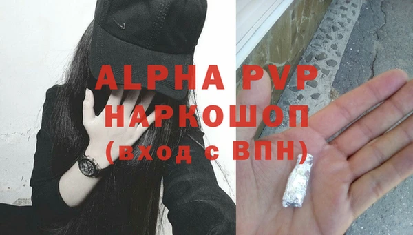 стафф Новодвинск