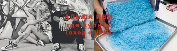 стафф Новодвинск