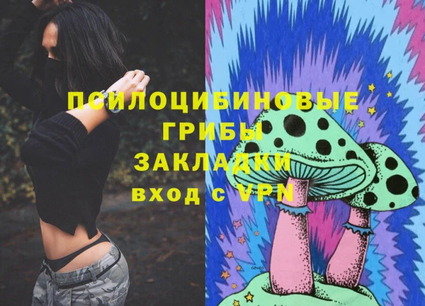 ALPHA-PVP Новозыбков