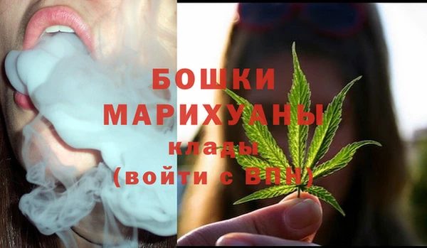 стафф Новодвинск